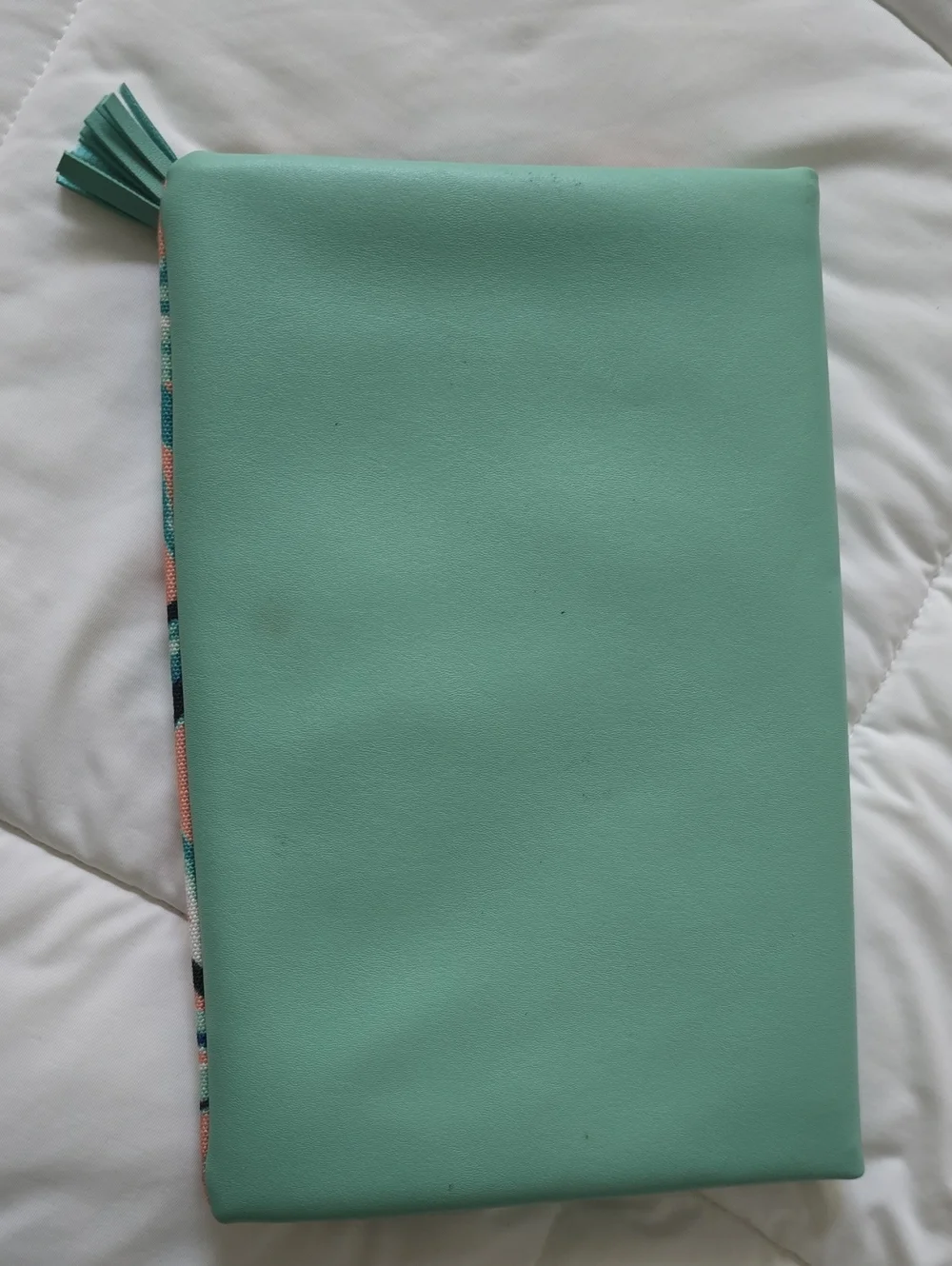 N/A sleek mint